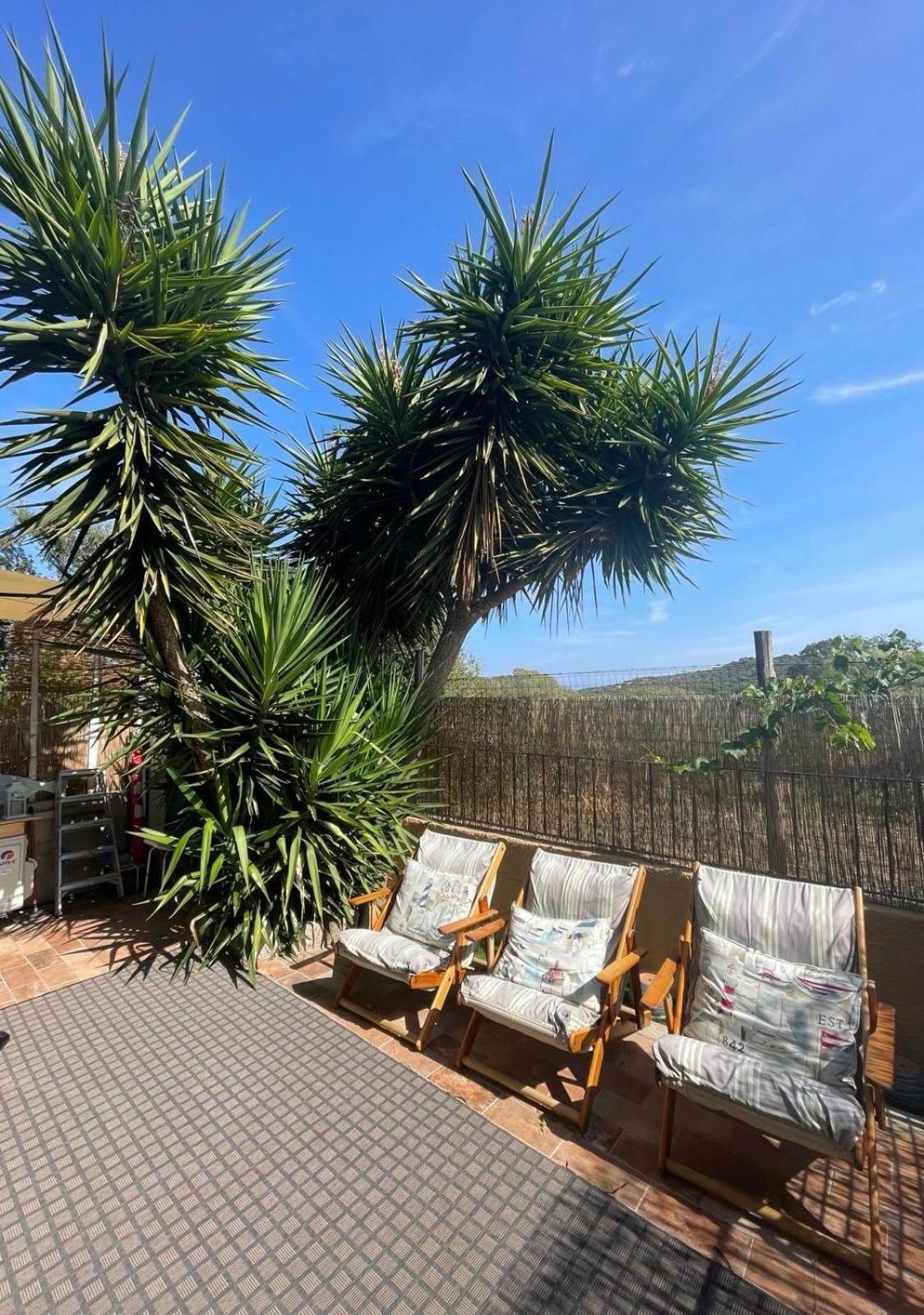 Apartmán Yucca Olbia Exteriér fotografie